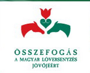 Figyelemfelkeltő élőlánc a Kincsem Park megmentéséért