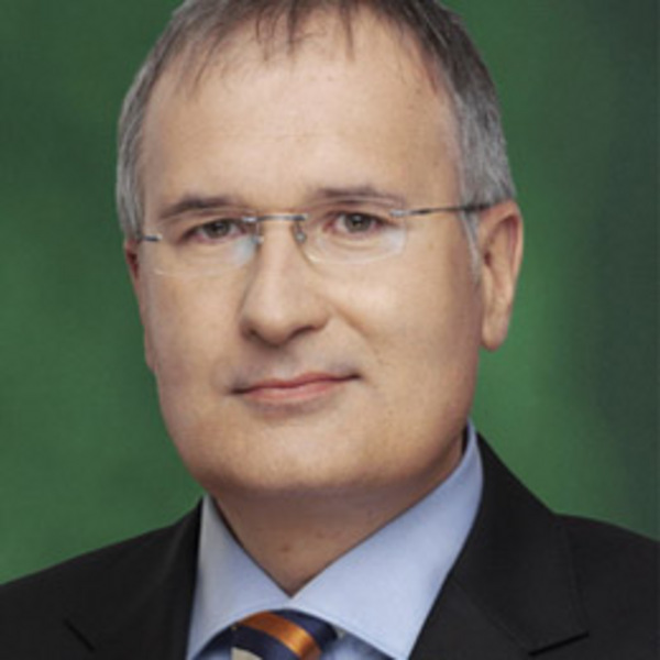 Szocialisták az előre hozott választások mellett