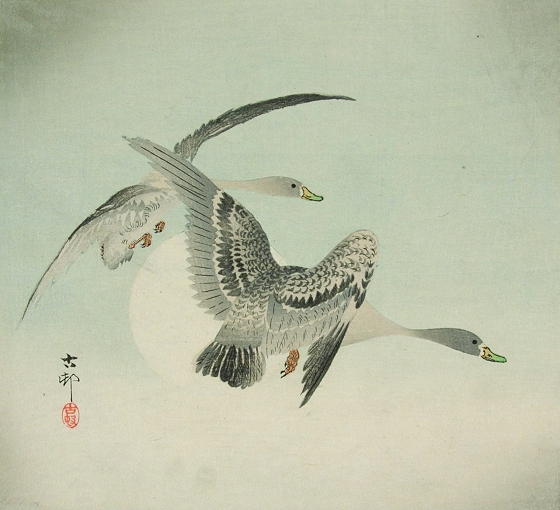 Kiállítás a Magyar Képzőművészeti Egyetem könyvtárának japán fametszet gyűjteményéből