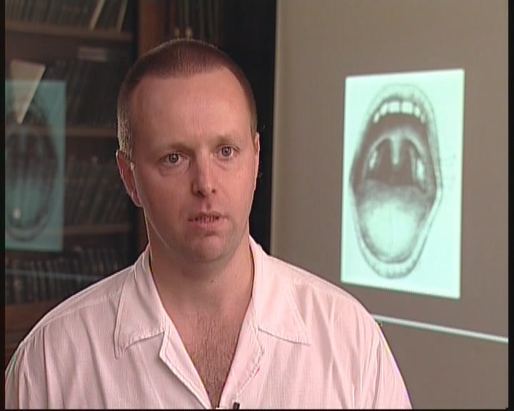 Hogyan működik a mandulánk?