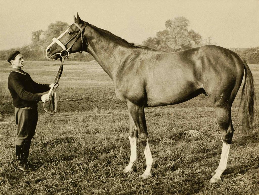 Híres magyar lovakról