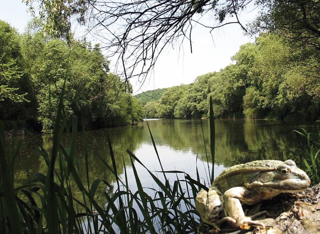 Uniós forrásból a forrásokért