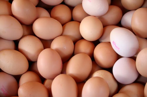 Húsvéti tojásteszt