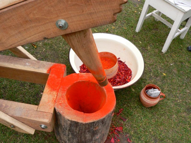 Paprikanap lesz Ópusztaszeren