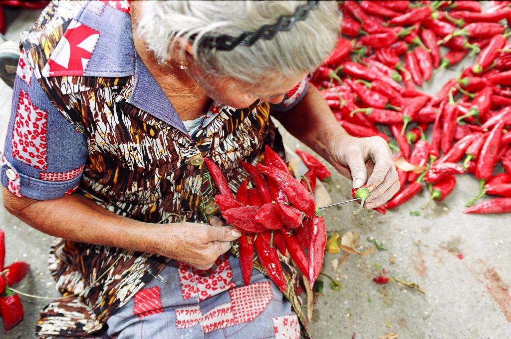 Ingyenes Paprika-nap a Mezőgazdasági Múzeumban