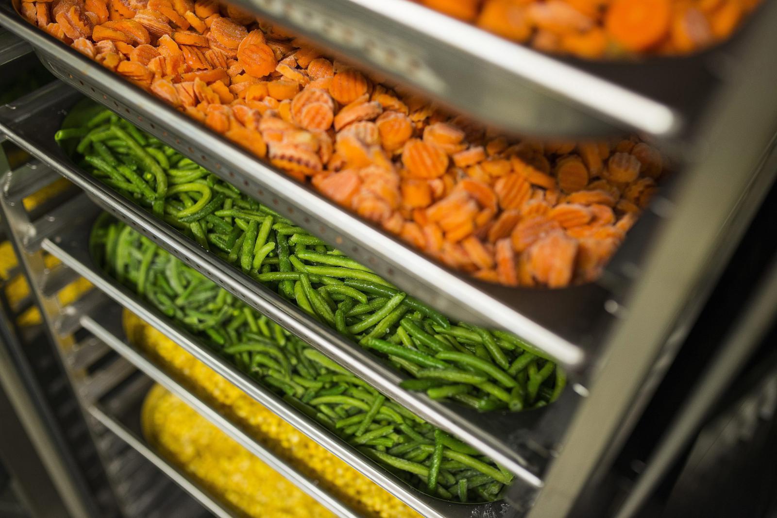 Szabad kezet kaptak az EU-tagállamok a GMO-ügyekben