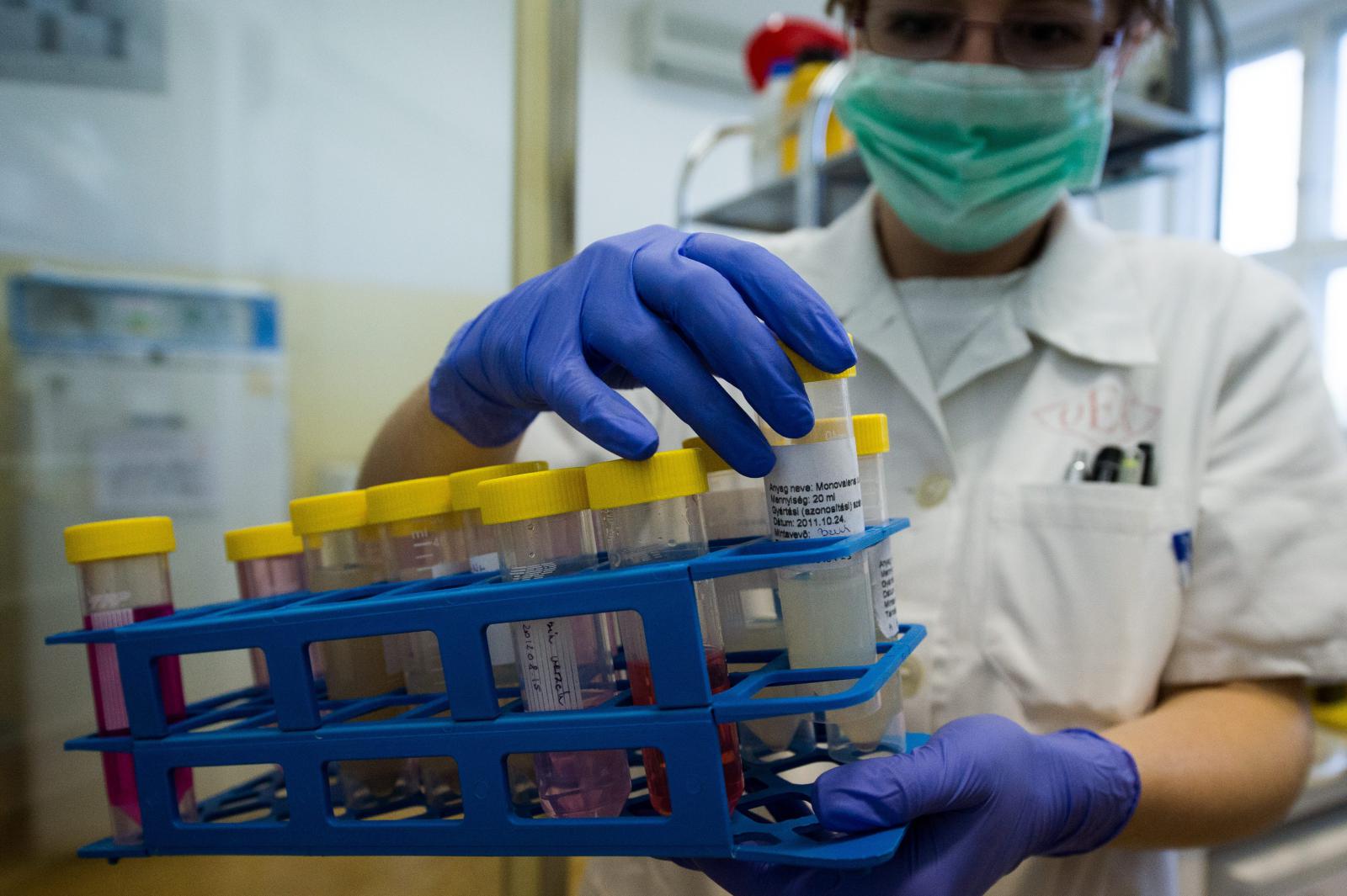 Tetőzik az influenzajárvány Európában