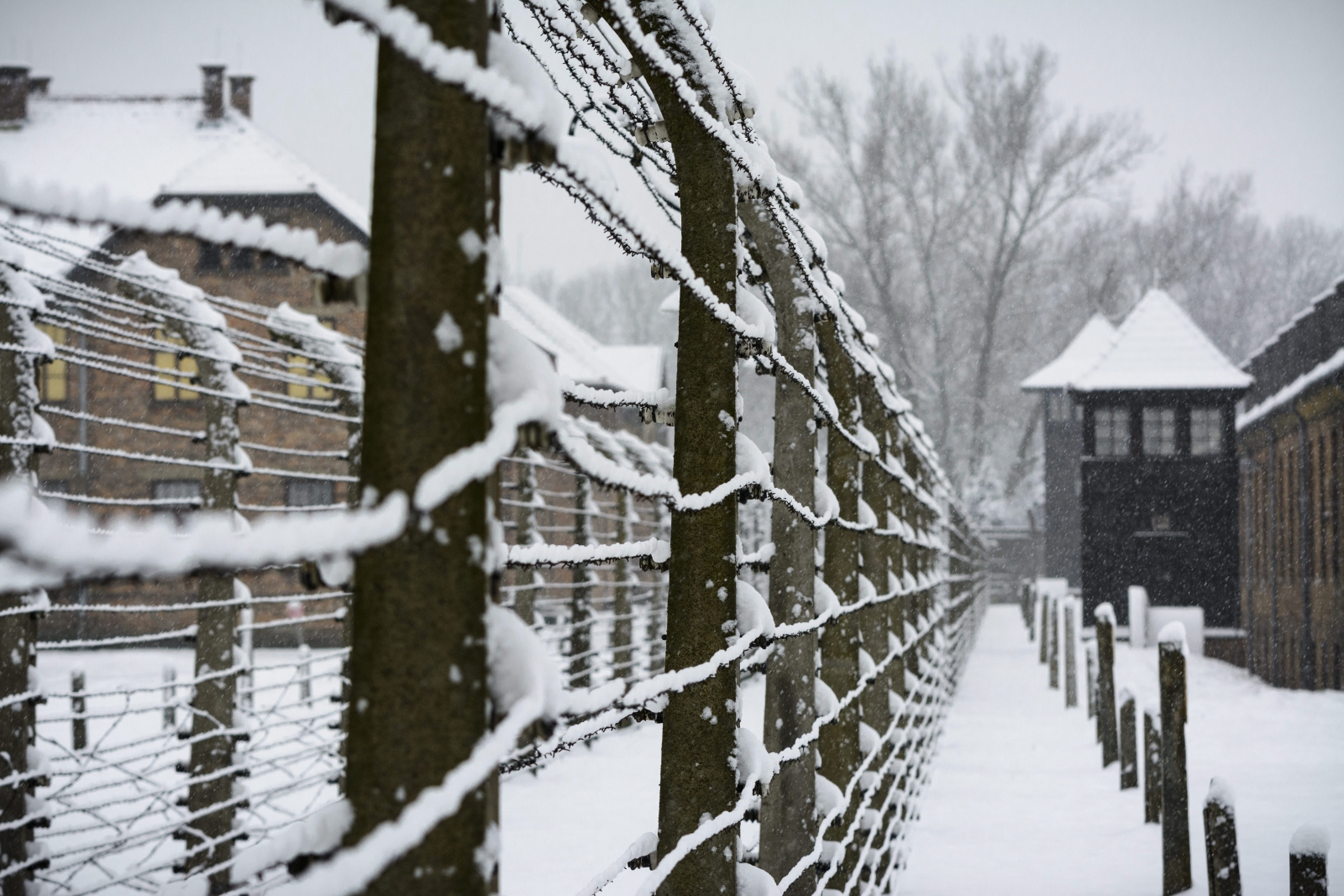 Auschwitzi lágerőr ellen indul per