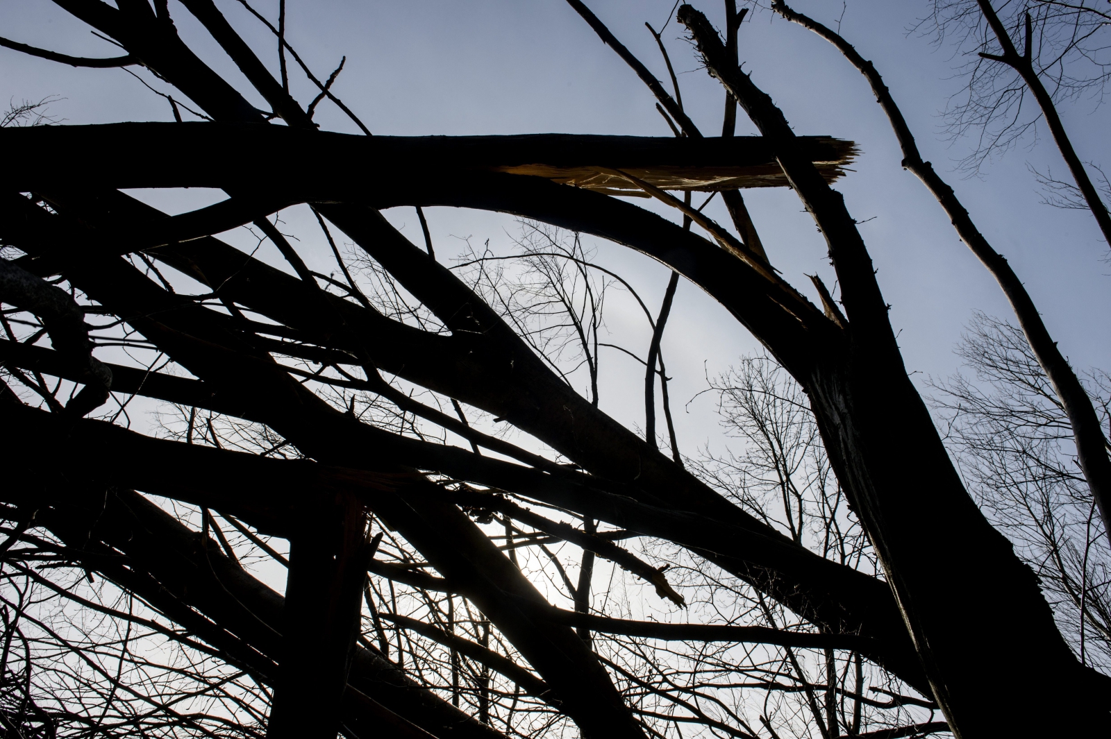 Helyreállították a pilisi parkerdő turistaútjait