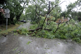 Fotó: MTI/Mihádák Zoltán