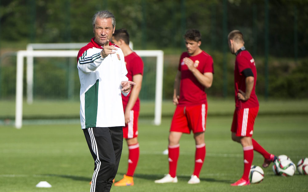 Labdarúgó-válogatott: Dárdai helyett Bernd Storck a kapitány