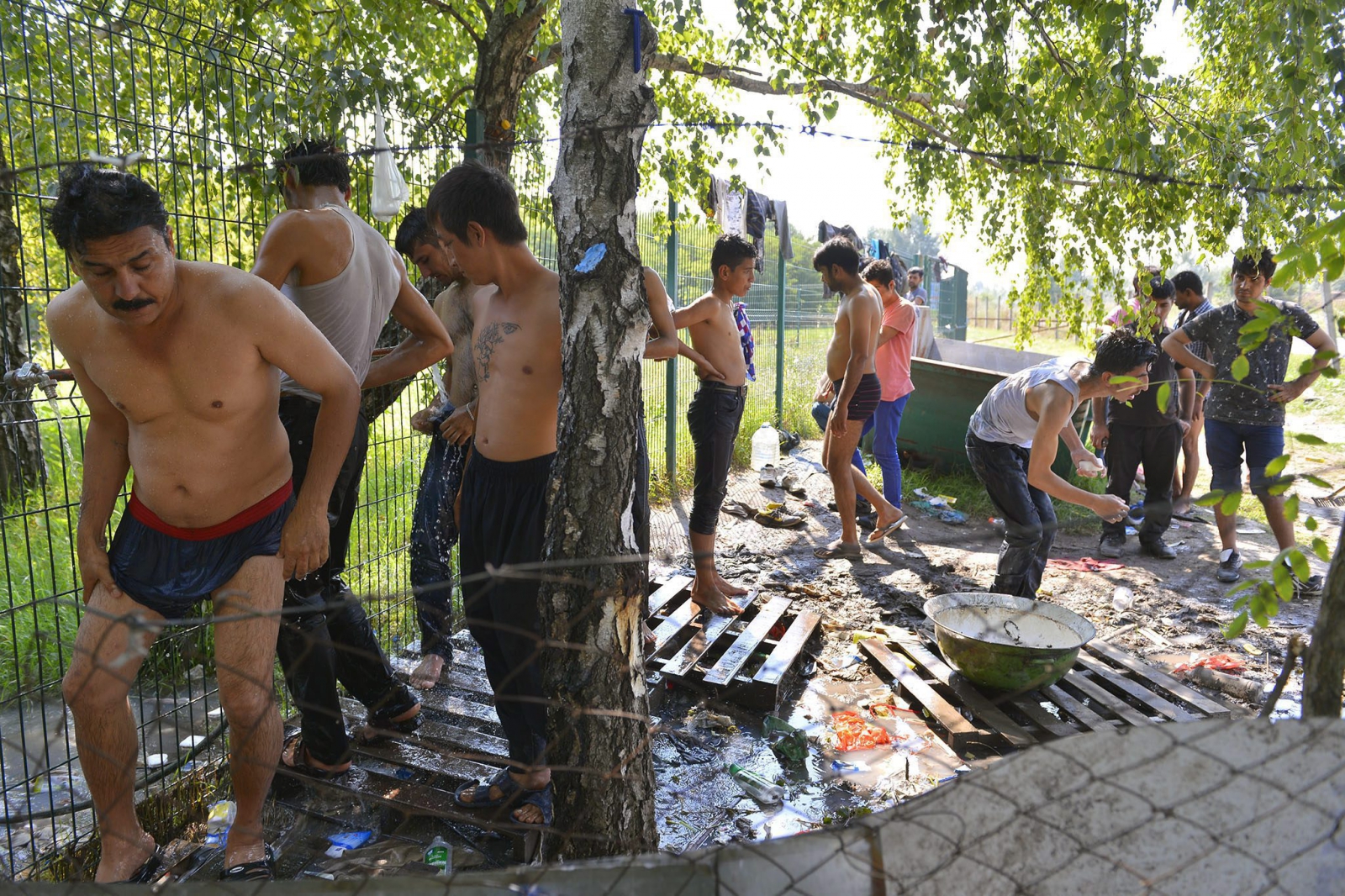 Megalakult a Vajdasági Migrációs Tanács