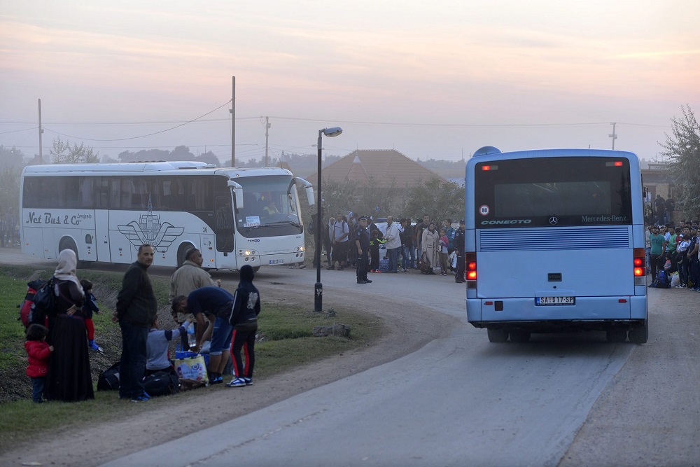 Szerbiai szociálisügyi államtitkár: az ország szinte kiürült