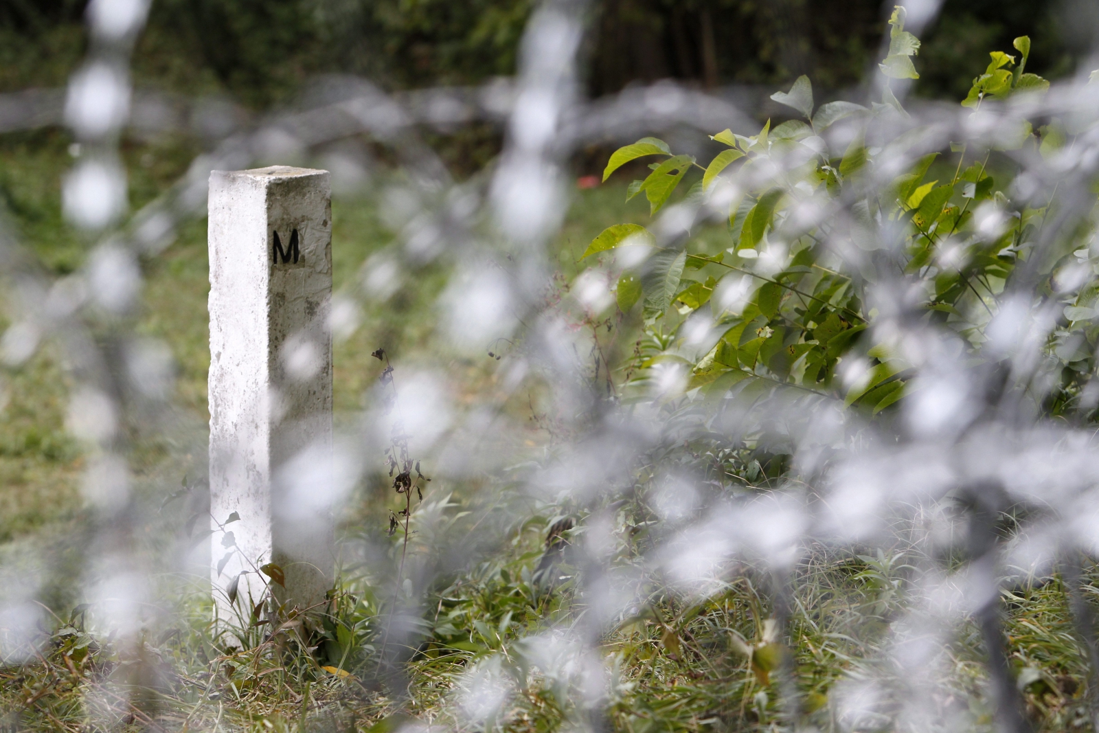 Szlovén miniszterelnök: azonnal megkezdhetjük a kerítésépítést