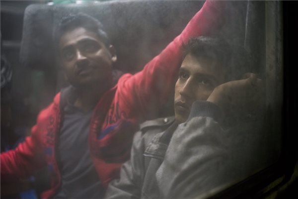 A németek többsége már hibának tartja a hazánkból elindult migránsok beengedését