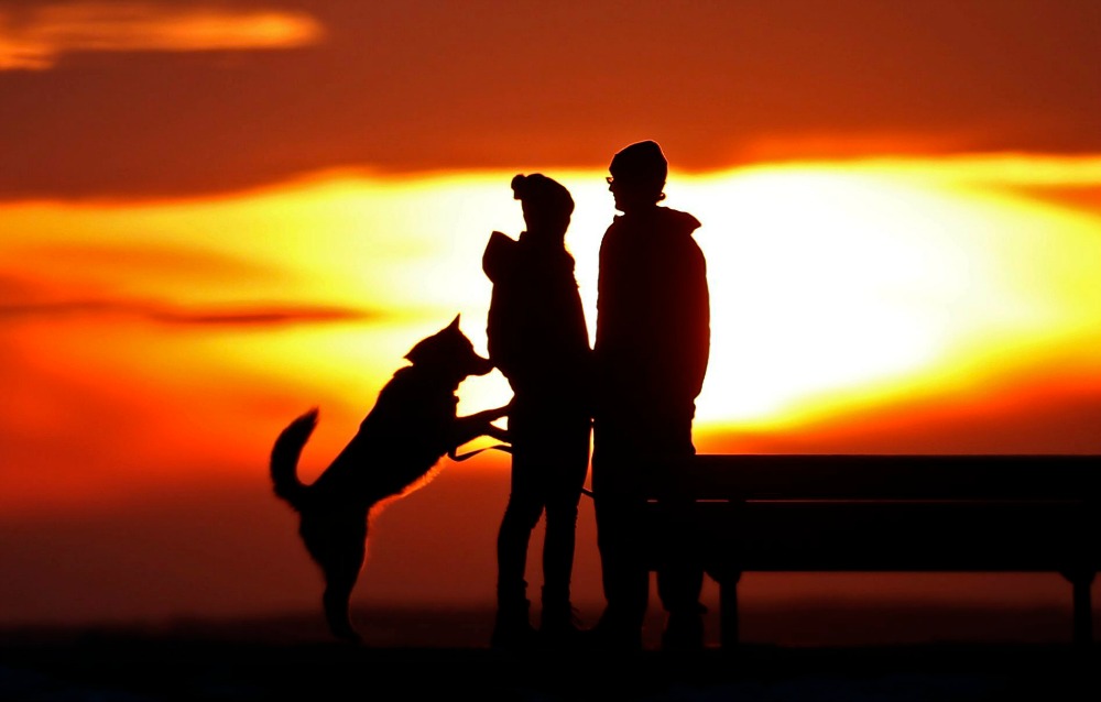 Ebzárlatot rendeltek el Szerencsen