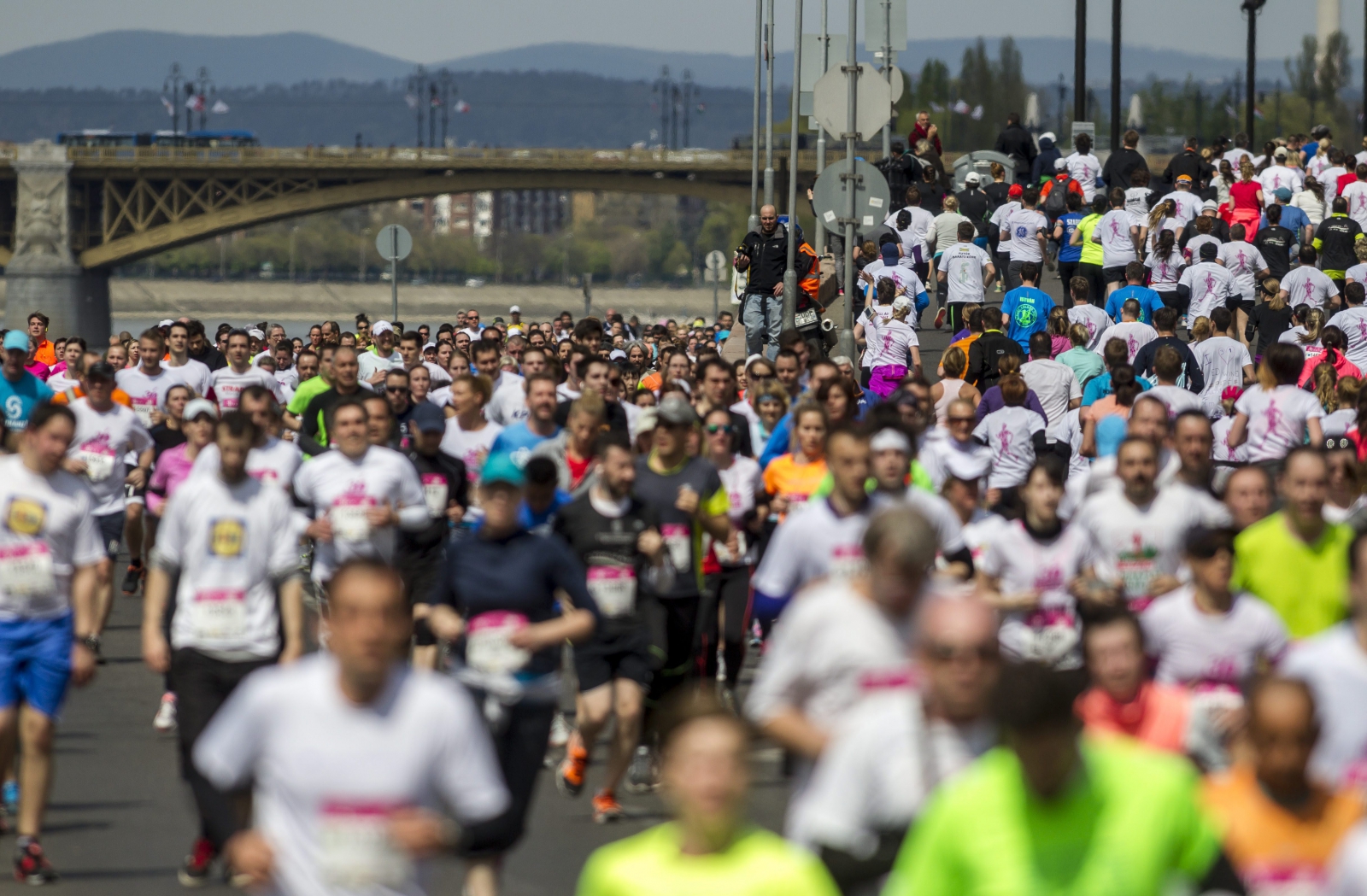 Rekordszámú nevezésére számítanak a Vivicittán