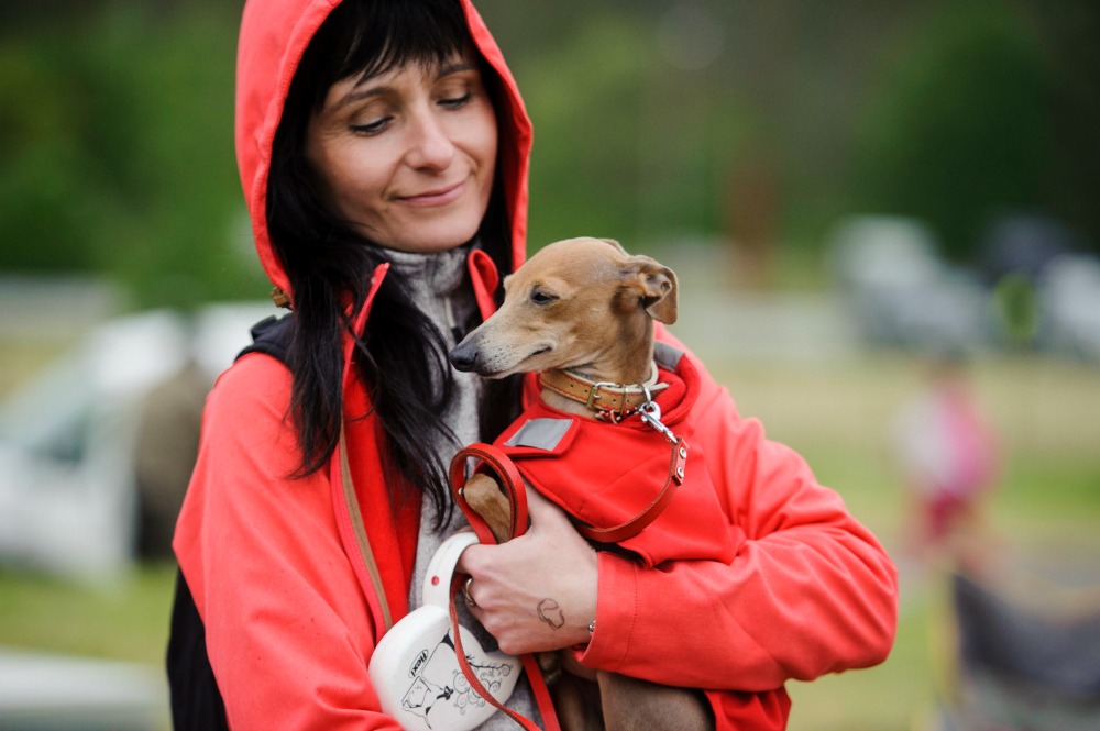 Magyar kutatás: a kutyák agya az emberéhez hasonlóan dolgozza fel a beszédet