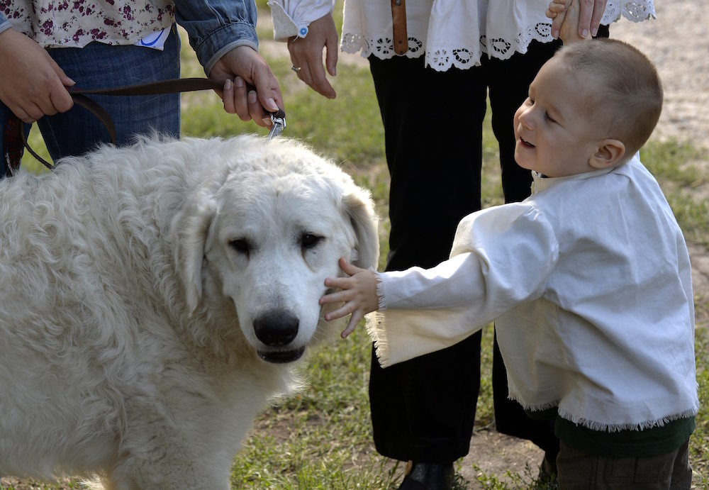 Kuvaszok és kuvaszosok világtalálkozója