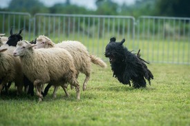 Fotó: mti, archív, illusztráció