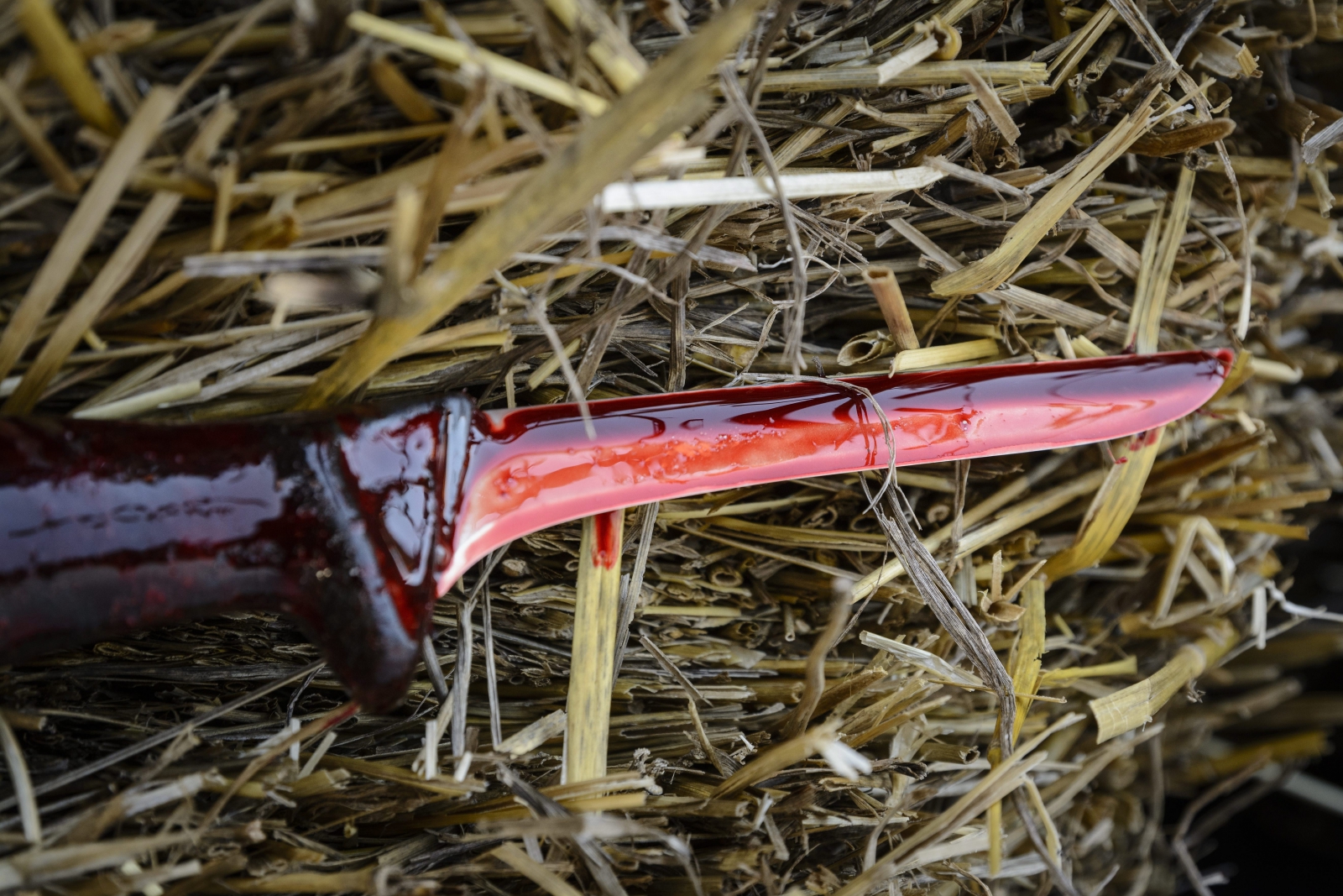 Megkéselték Délegyháza polgármesterét