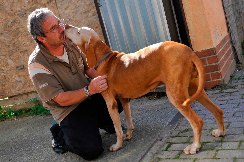 Hazaérkezett Debrecenbe a megvert kamionsofőr