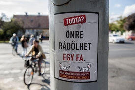 Fotó: mti, illusztráció