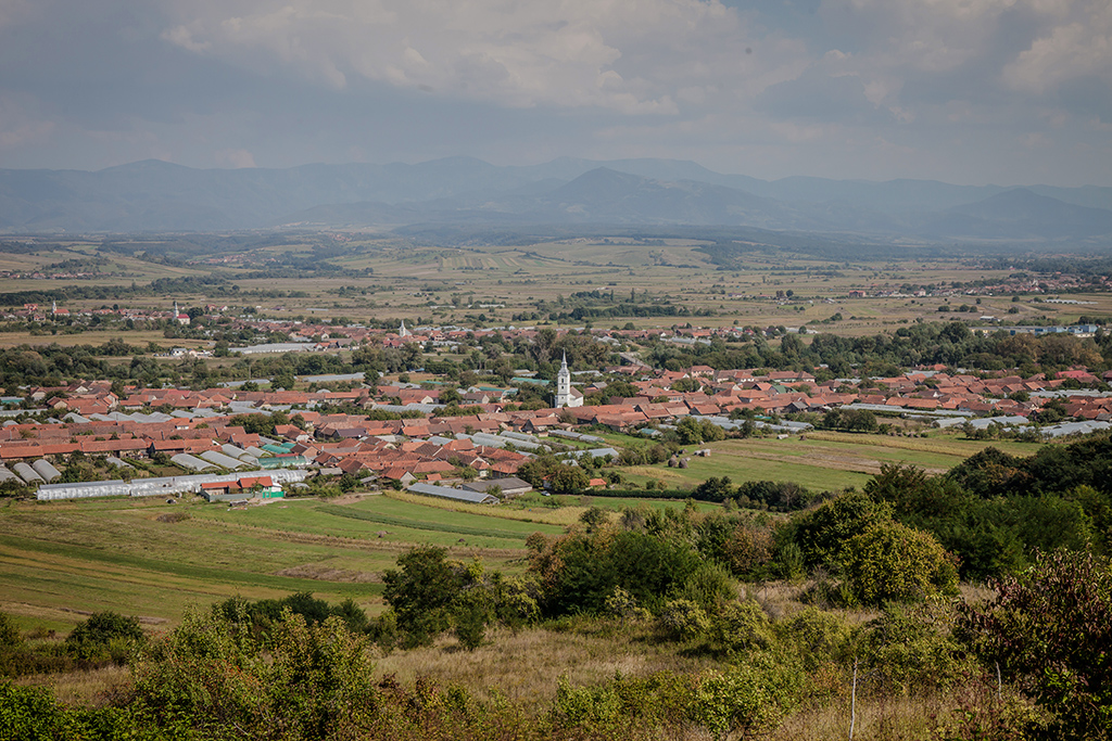Köröstárkány élni akar