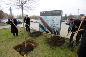 Fotó: ii. kerületi Önkormányzat