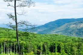 Fotó: shutterstock.com, illusztráció