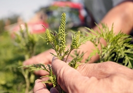 Fotó: mti, archív, illusztráció
