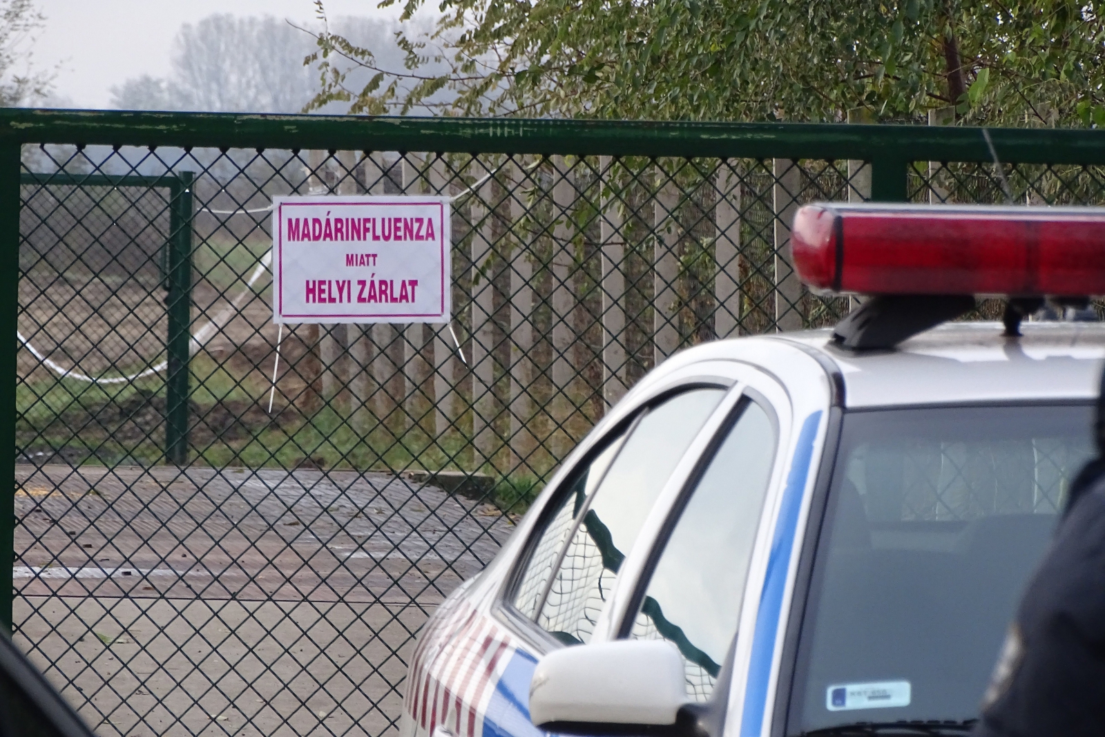 Zárt etetést rendelt el a főállatorvos a baromfigazdaságokban