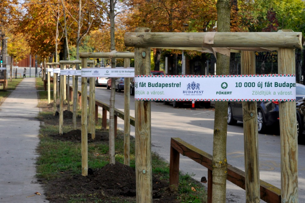 Jól halad a faültetési program