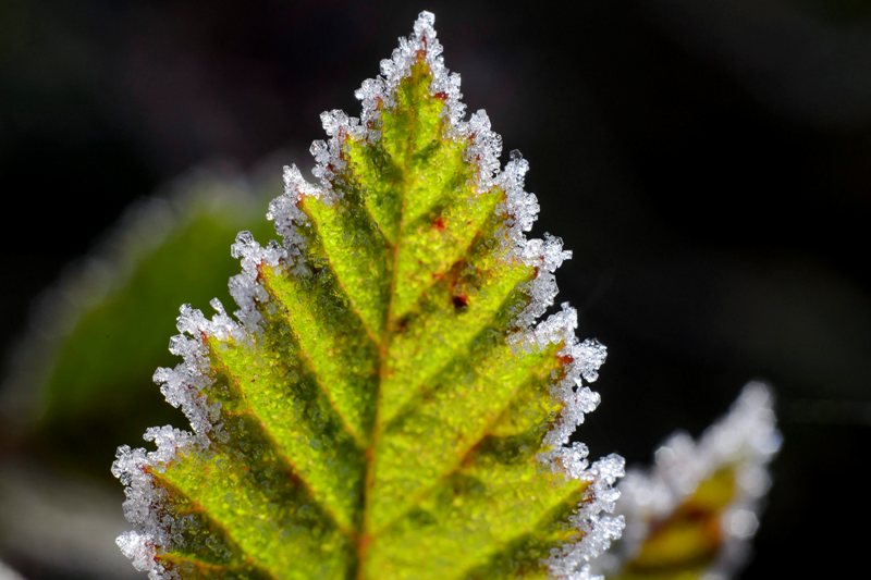 Lehűléssel kezdődik a jövő hét