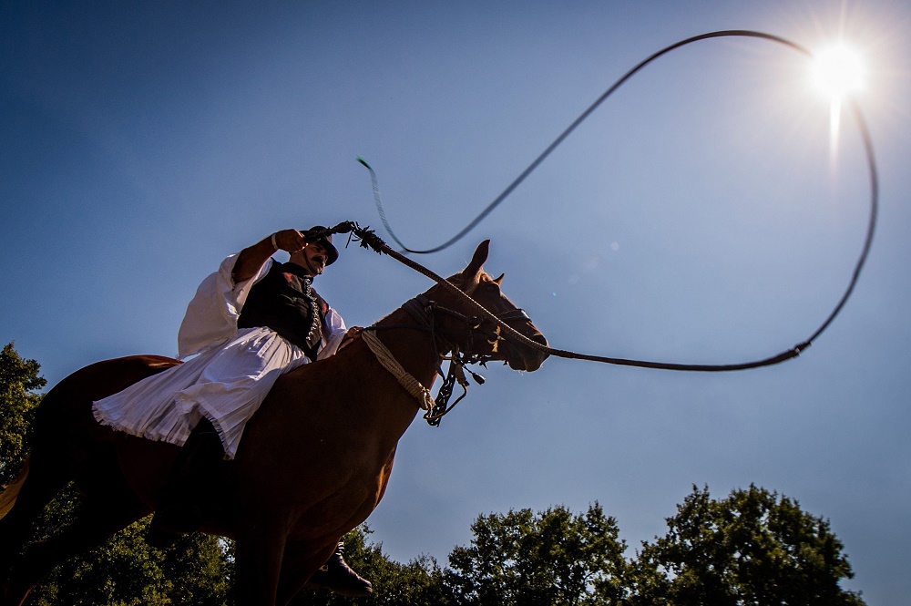 A magyar lótenyésztés legyen ismét a világ élvonalában!