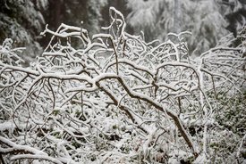 Fotó: mti, archív, illusztráció