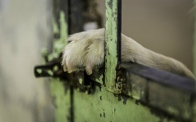 Fotó: shutterstock.com, illusztráció