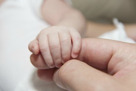 Fotó: shutterstock.com, illusztráció