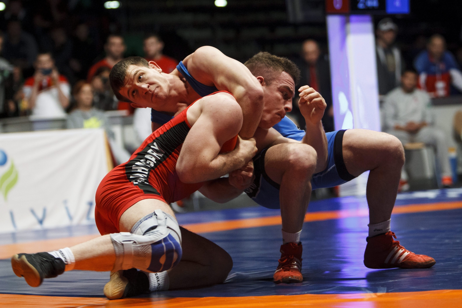 Magyar éremeső a birkózók párizsi versenyén