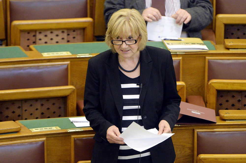 Lemondott az LMP frakcióvezetője