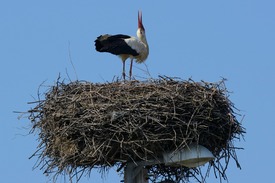 Fotó: mti, archív, illusztráció