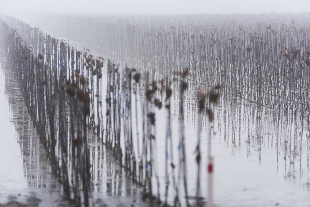 Több mint 120 kilométeren másodfokú az árvízi védekezés