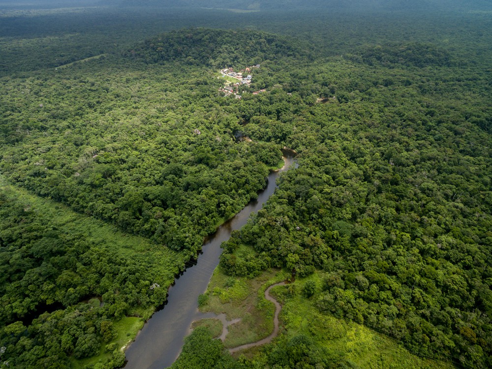 Óriás geoglifákat fedeztek fel az Amazonas esőerdőiben
