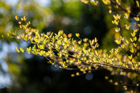 Fotó: shutterstock.com, archív, illusztráció