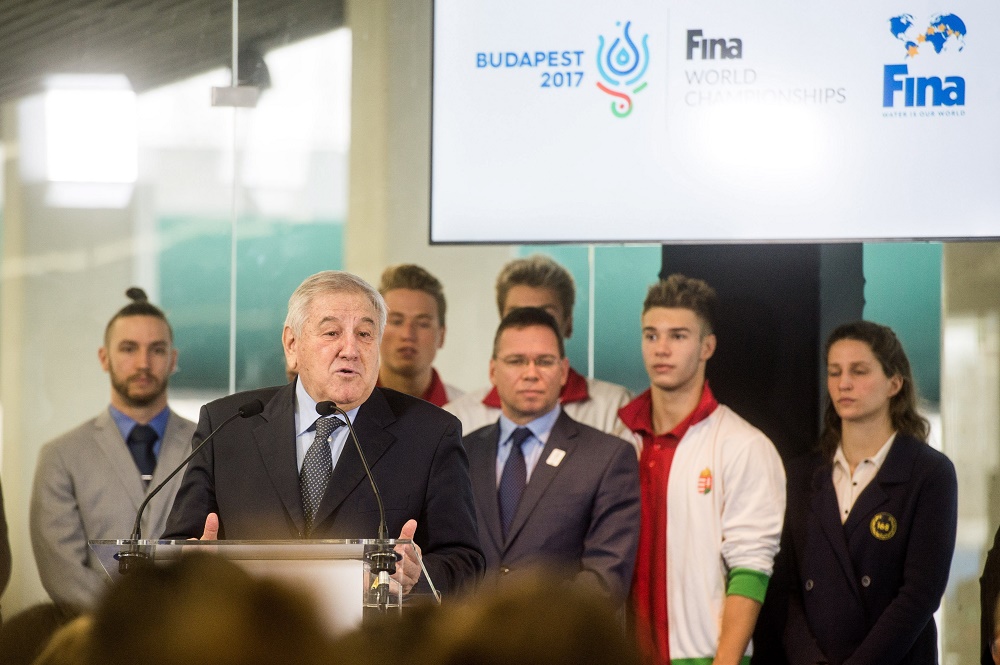 A FINA elégedett a szervezéssel