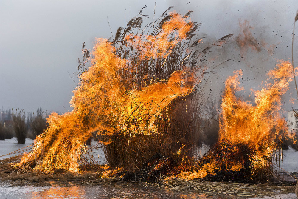 Országos tűzgyújtási tilalmat rendeltek el