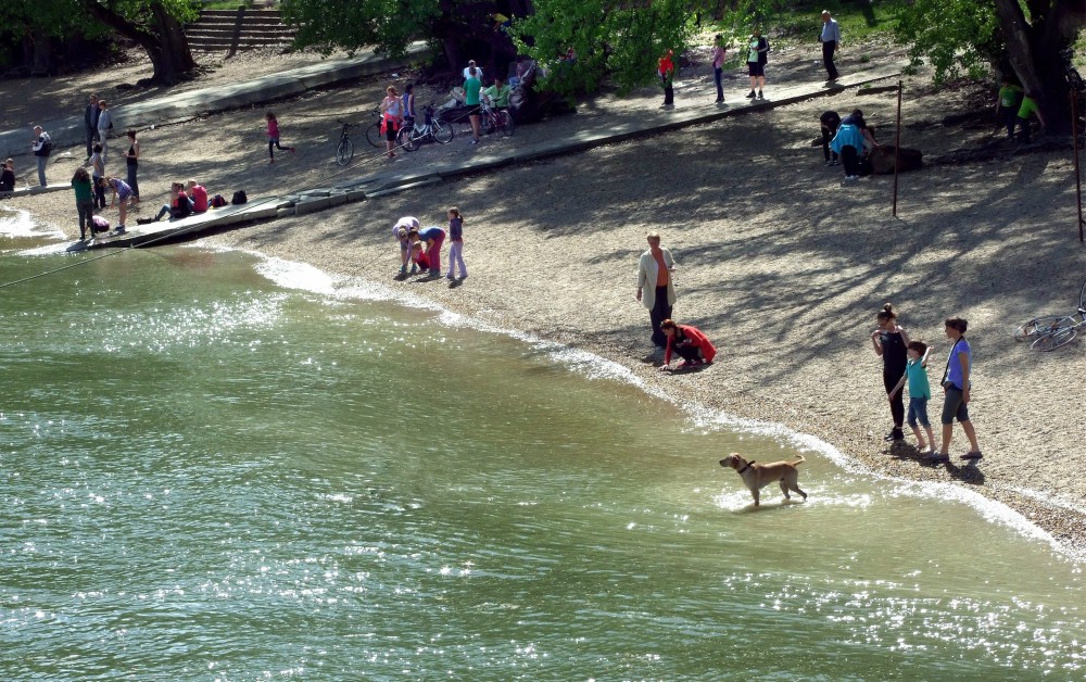 A DK támogatja a helyi népszavazást