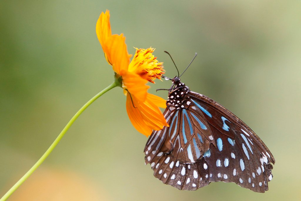 Ma kezdődik a Budapesti Tavaszi Fesztivál