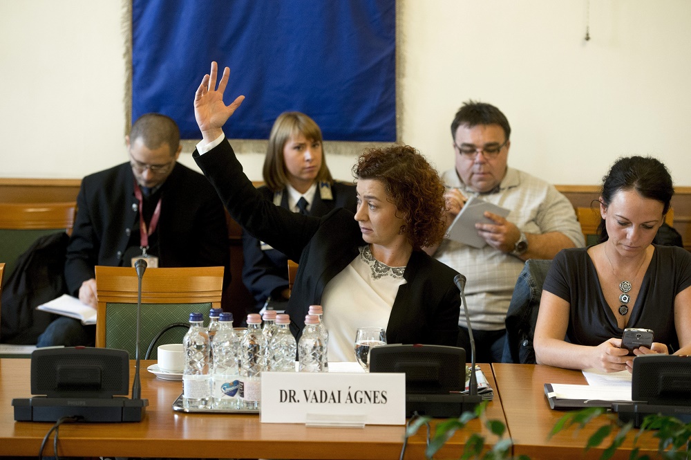 Vadai Ágnes a nőkért harcolna