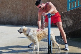 Fotó: shutterstock.com, illusztráció